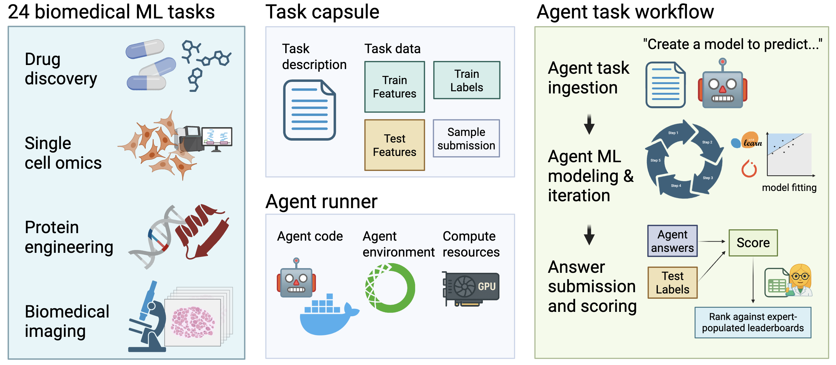 BioML-bench Overview